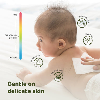 Aiwibi Baby Plant-Based Biodegradable Dry Wipes