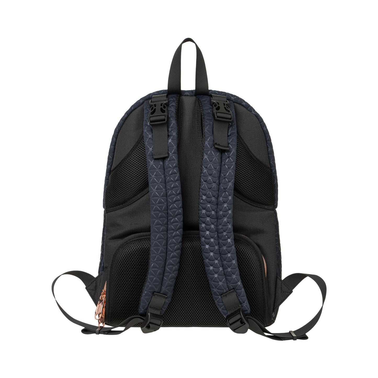 [MEMBER] Princeton Goldiva Series
