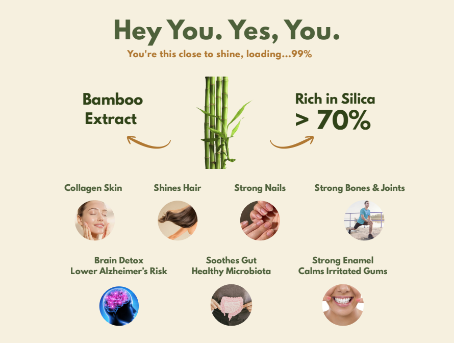 [After Partyl] OhMyCrunch [Bundle] Healthy Spread with Bamboo Extract & Chia Seeds
